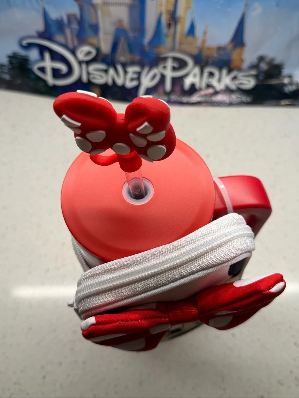New 2026 Minnie Mouse 30oz Stainless Steel Travel Tumbler & Straw & Zip Case